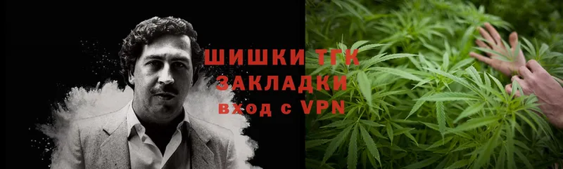 купить наркотик  Касли  Бошки Шишки SATIVA & INDICA 